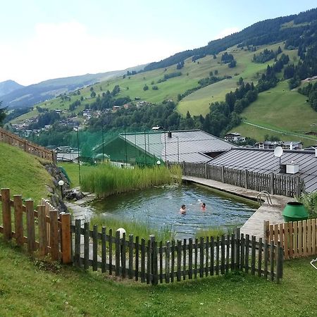 Appartementhotel Hechenberg ซาลบาคฮินเทอร์เกลมม์ ภายนอก รูปภาพ