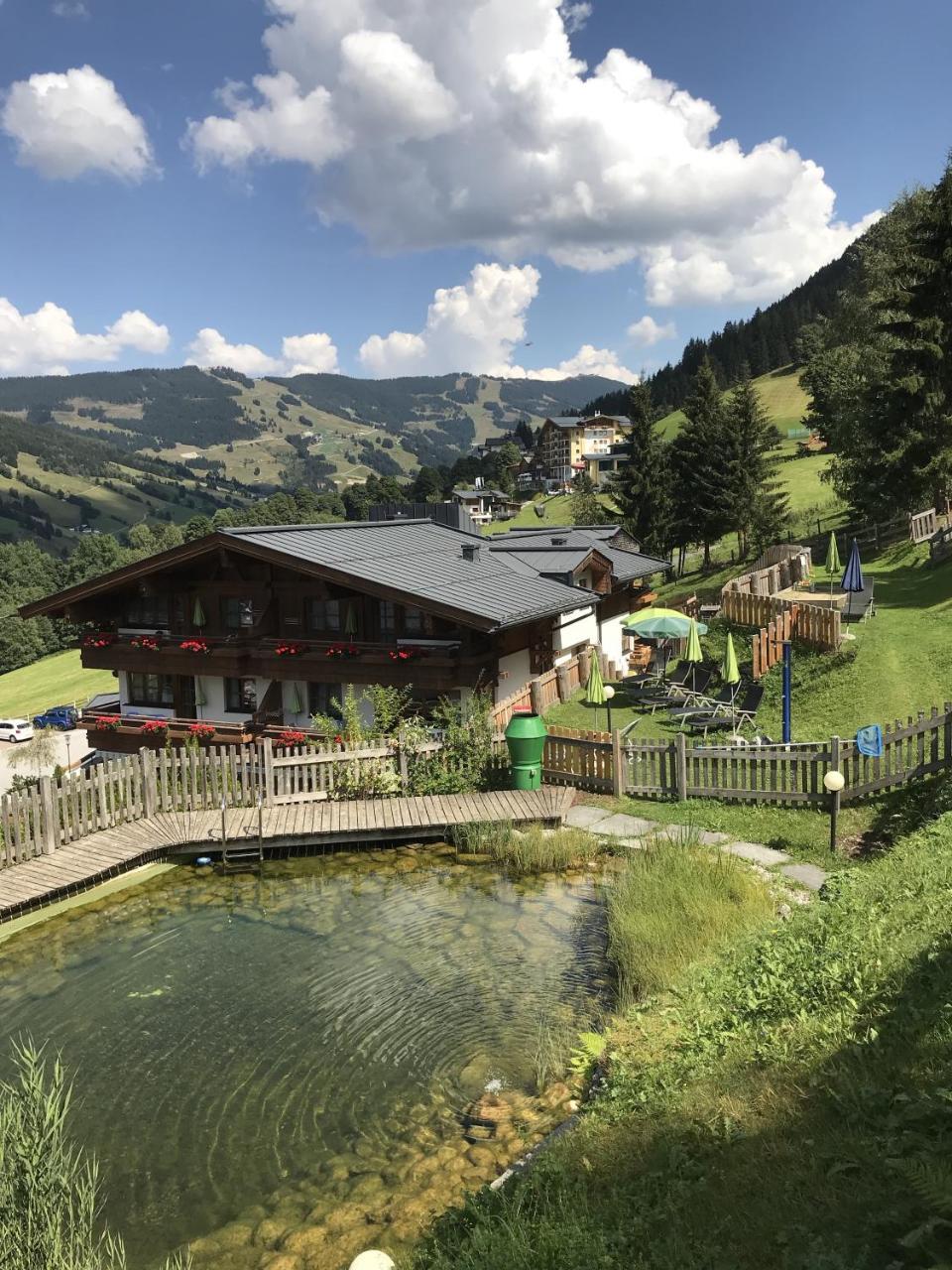 Appartementhotel Hechenberg ซาลบาคฮินเทอร์เกลมม์ ภายนอก รูปภาพ